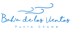 logo_bdlv